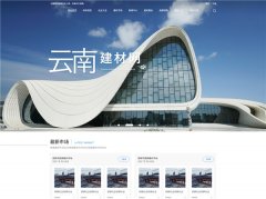 紧随其后的采购界保举界面